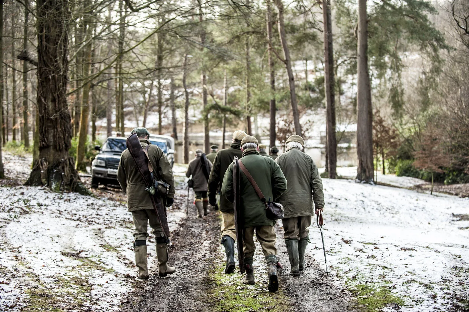 A shooting party walking through a wintry woodland
