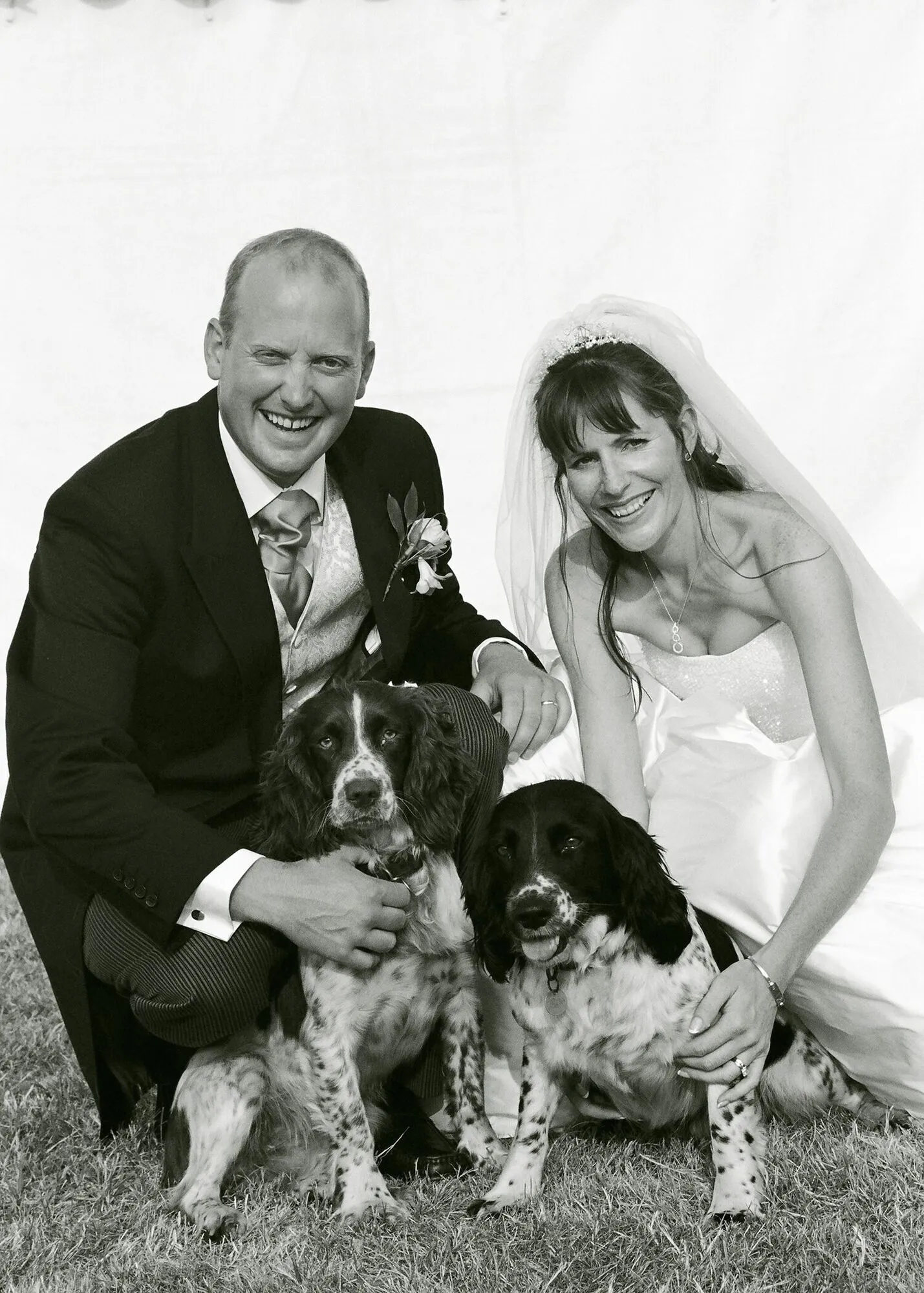 A characterful pet portrait